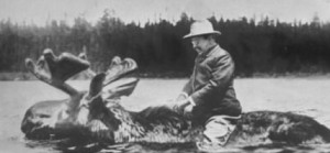 roosevelt riding a moose