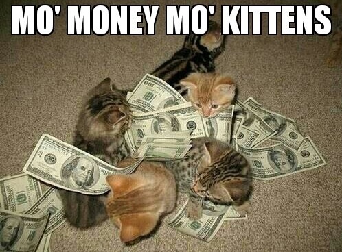 mo_money_mo_kittens_540