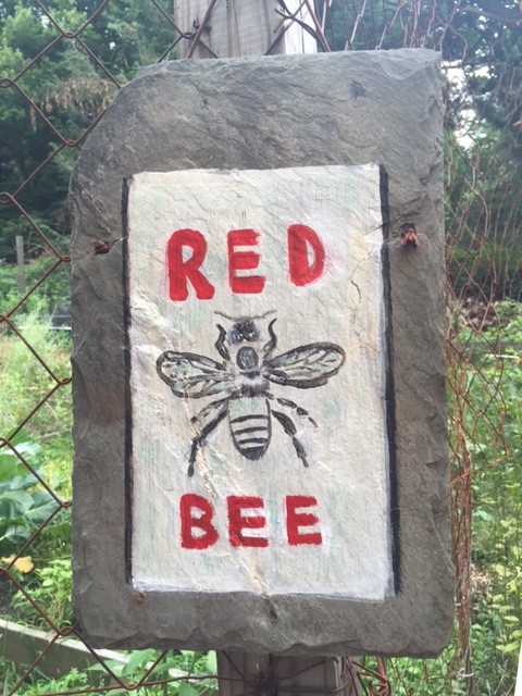 red bee honey