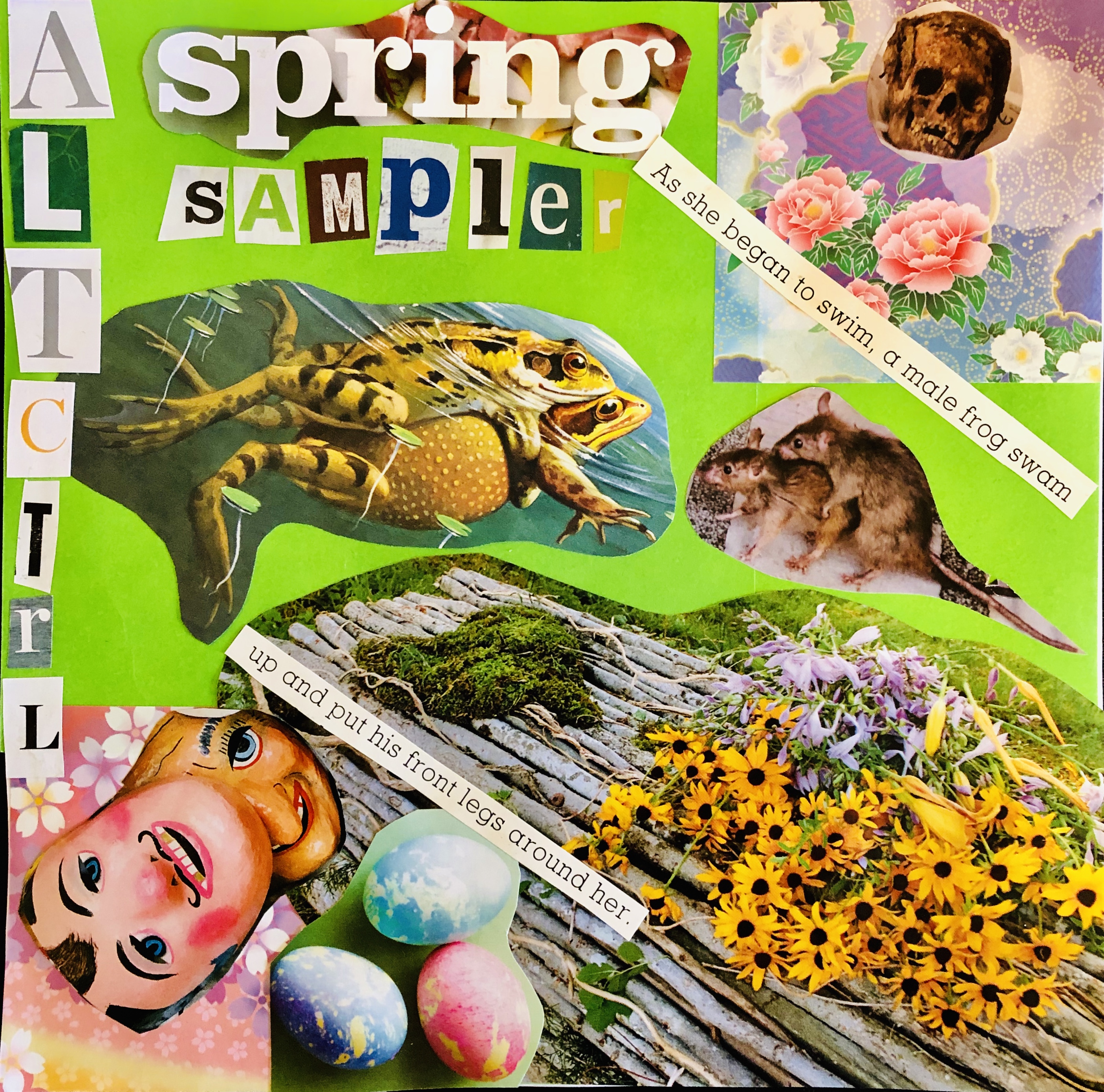 AltCtrl Spring Sampler