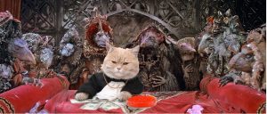 cash cat with skeksis